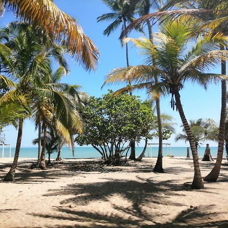 Hotel Playa Mandala Palomino Eksteriør billede