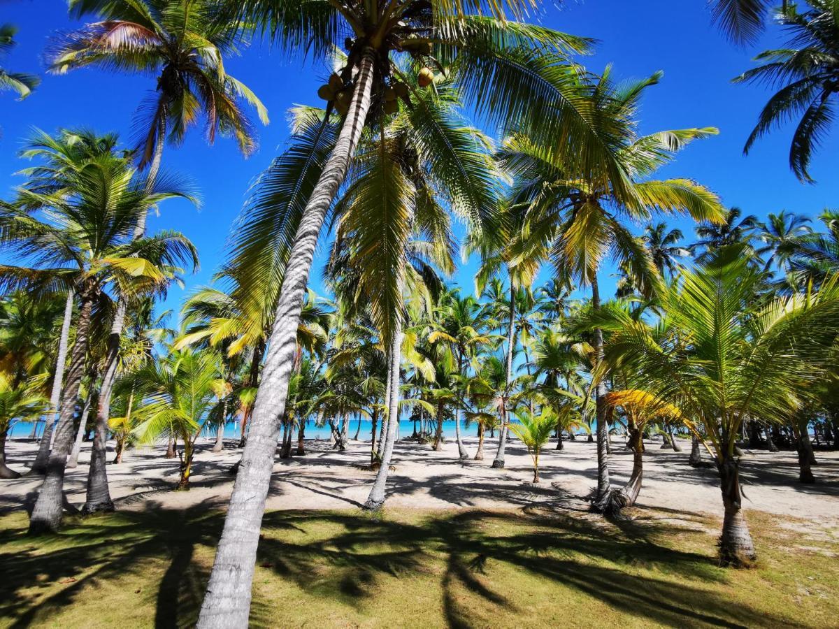 Hotel Playa Mandala Palomino Eksteriør billede
