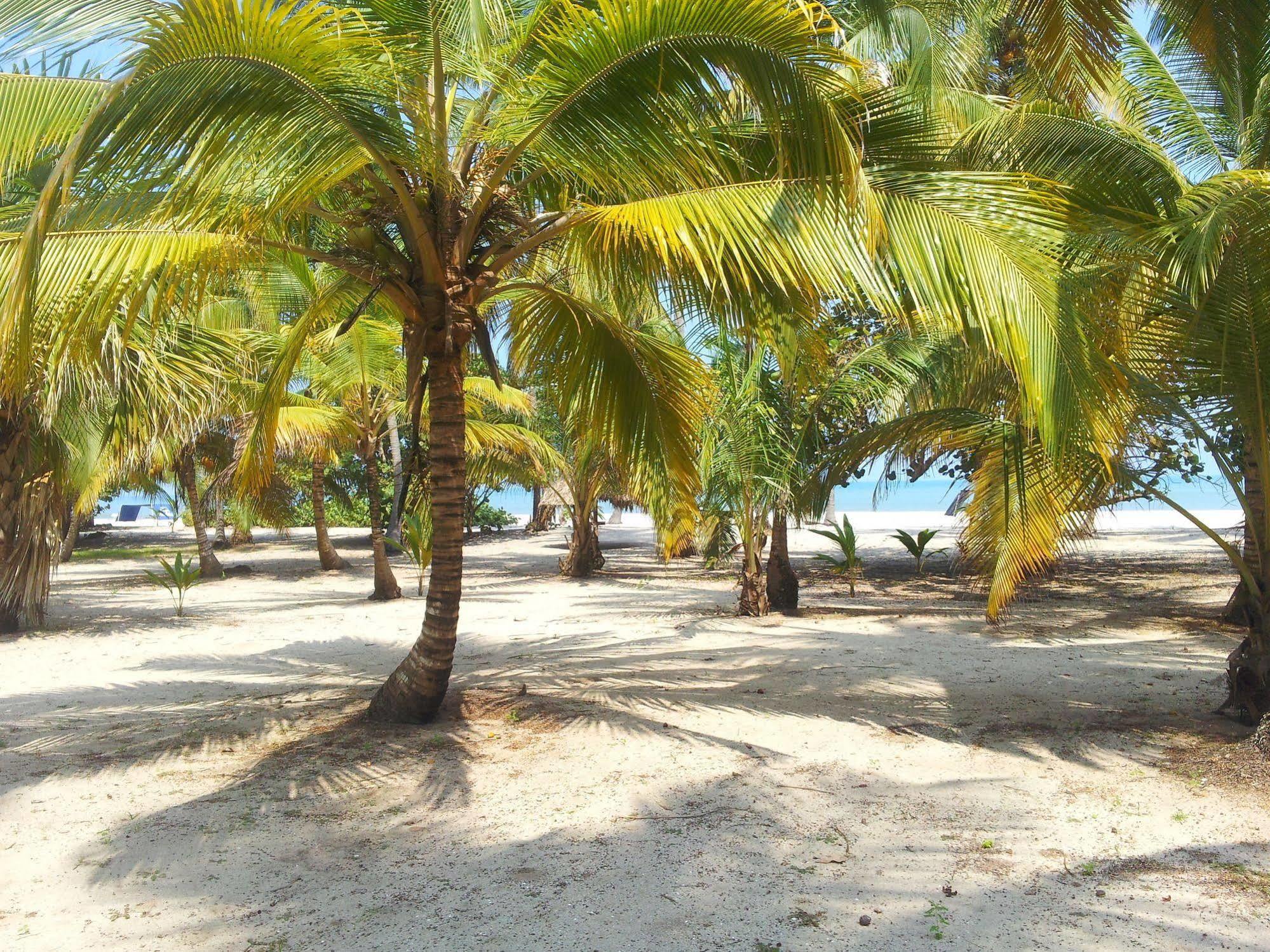 Hotel Playa Mandala Palomino Eksteriør billede