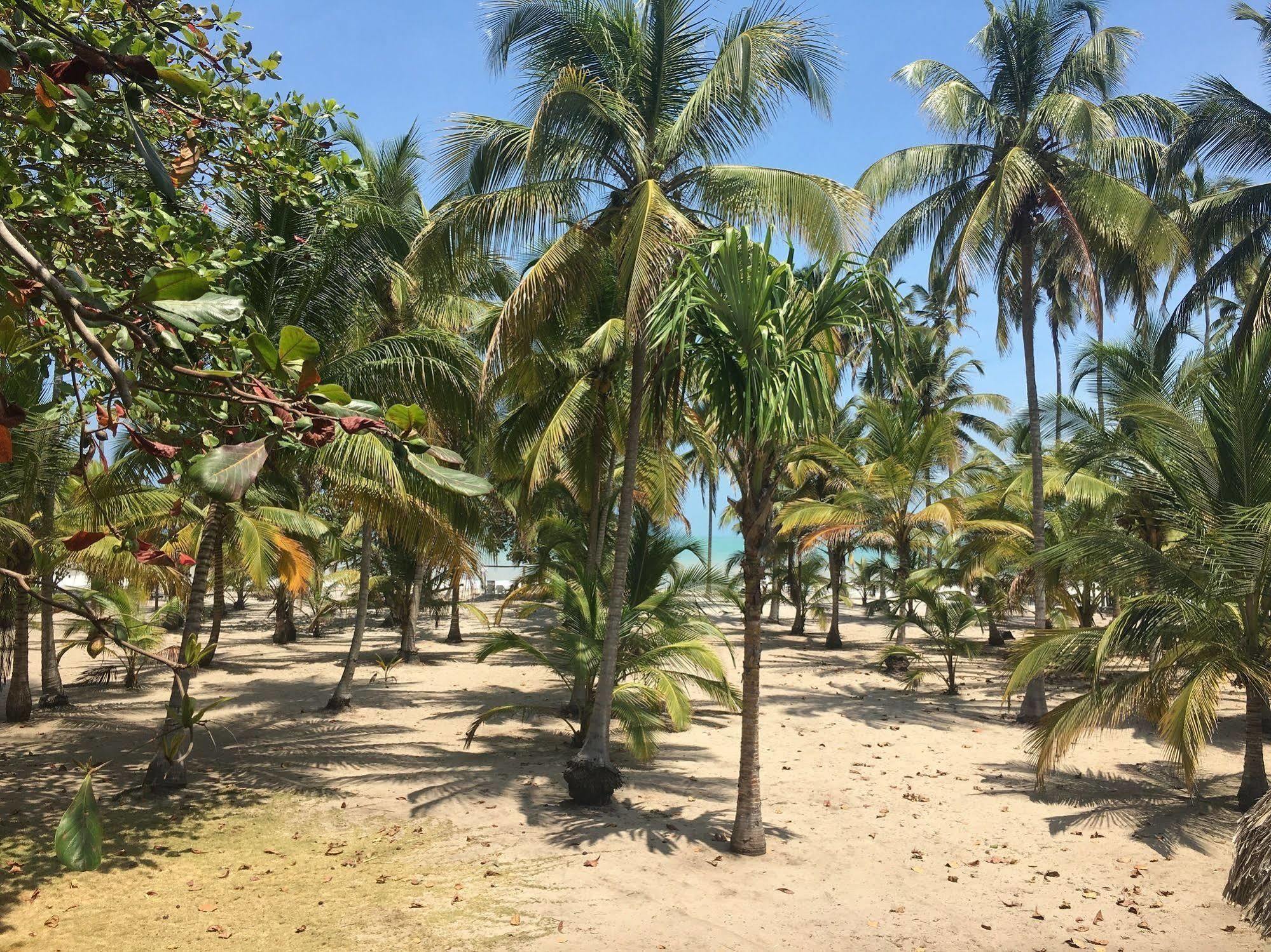 Hotel Playa Mandala Palomino Eksteriør billede