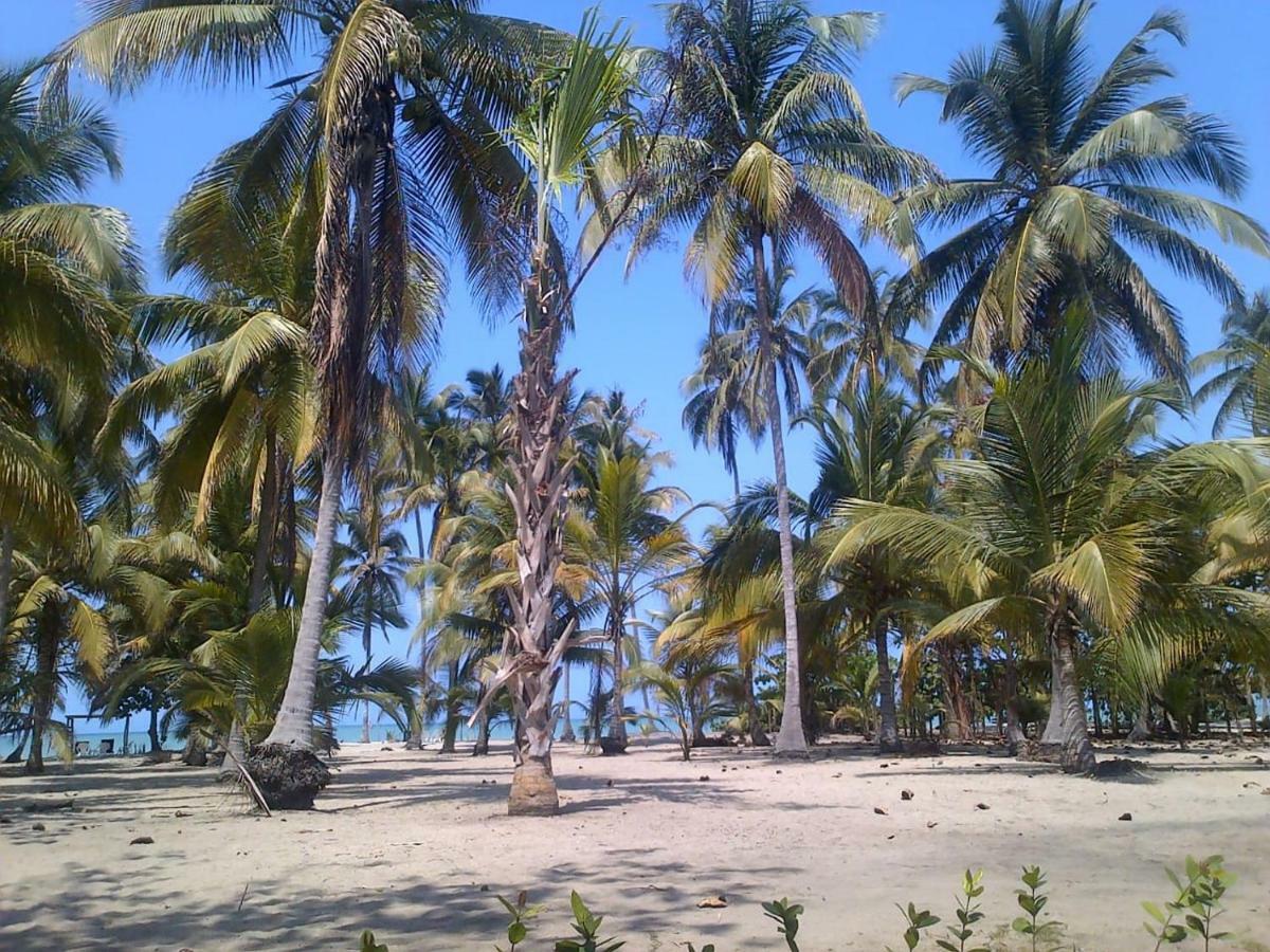 Hotel Playa Mandala Palomino Eksteriør billede