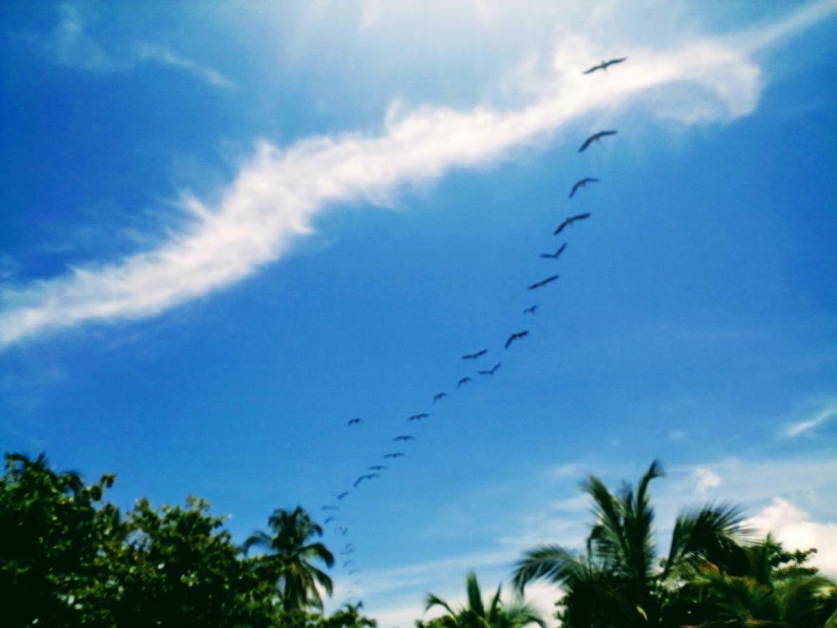 Hotel Playa Mandala Palomino Eksteriør billede